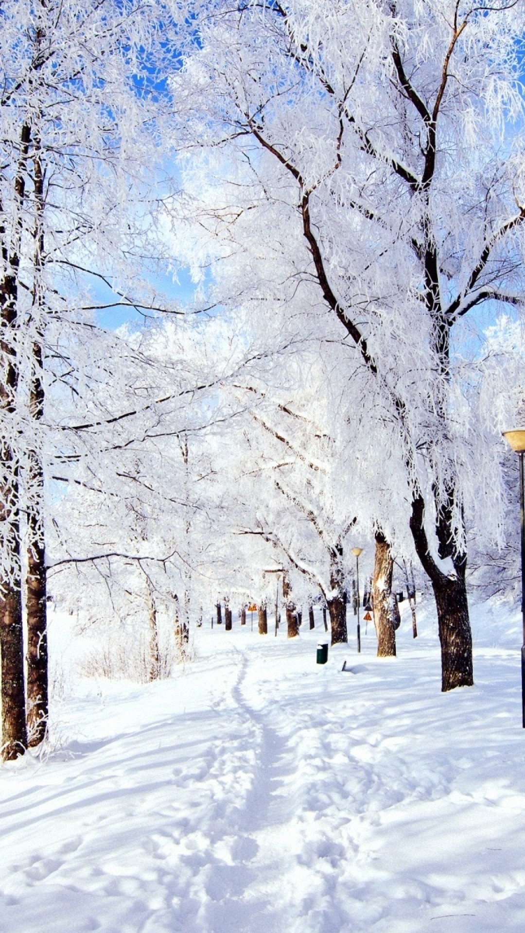 Hình nền : tuyết, mùa đông, thao tác hình ảnh, không khí, Đóng băng,  1680x1050 px 1680x1050 - wallhaven - 554607 - Hình nền đẹp hd - WallHere